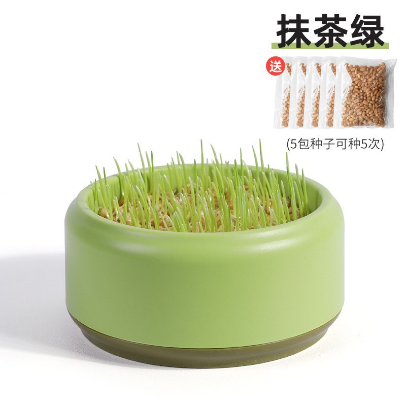 Nuevos bocadillos transfronterizos para gatos, semillas en macetas de pasto para gatos, caja de hierba para gatos hidropónica, juego de bolas de pelo, plato de vivero de pasto para gatos sin tierra