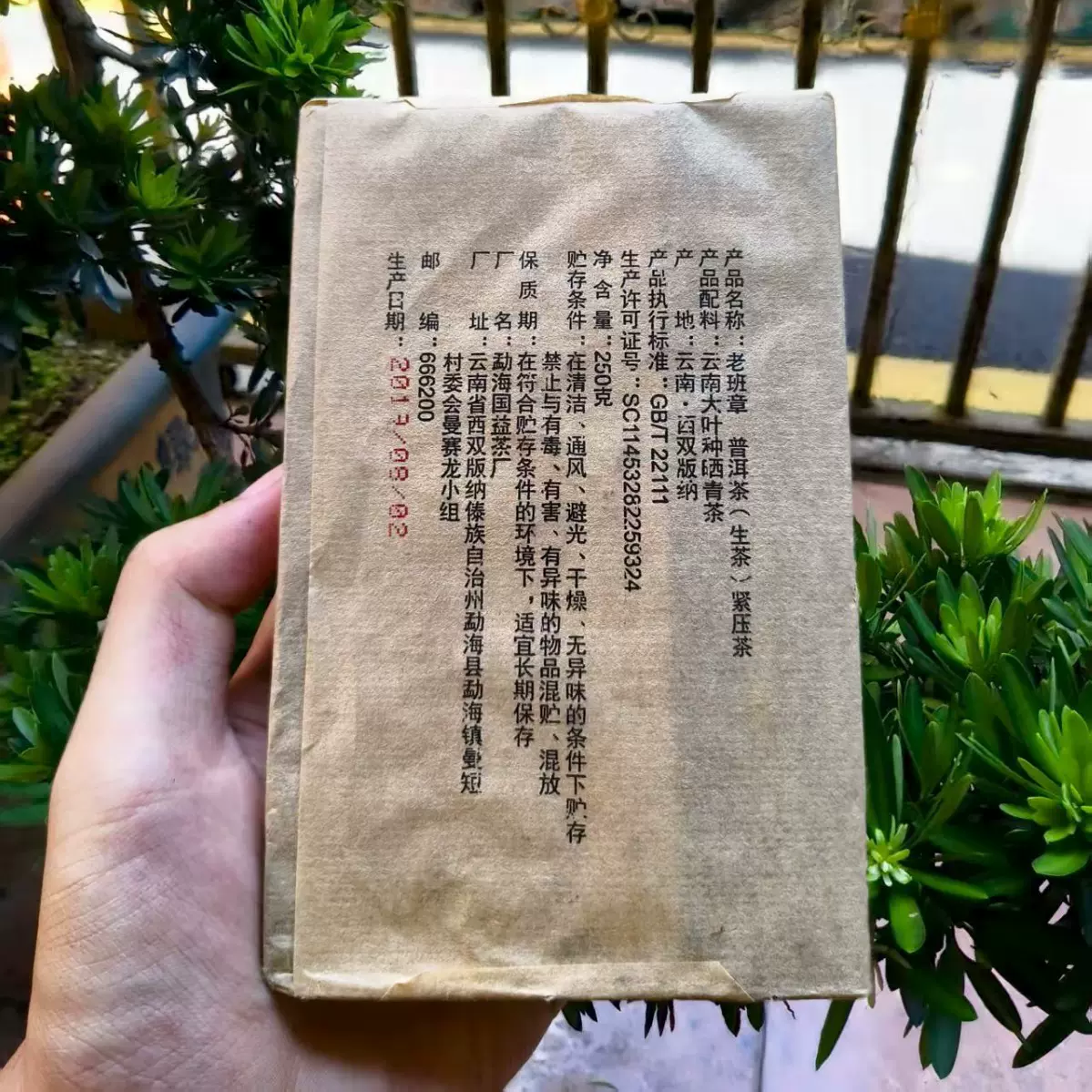 批发2019年云南普洱茶生茶250克老班章普洱生茶砖生砖茶普洱茶饼