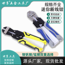 8������ྀ�Q ���I������t�C�����ྀ�Q���ք���|�F�z���i�Q