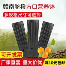 Ě�ȸ�����I�B�����籭һ��������������Ӹ߼Ӻ񷽿ڼ��L�I�B��