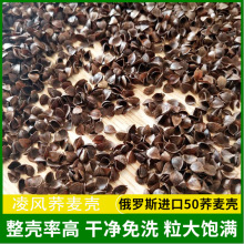 �S�����l���_˹60�w�������m���s�Ƀ���ϴ�����w��Ƥ����w����