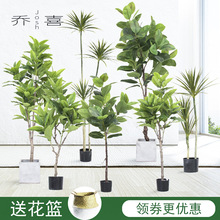 SֱNGֲGֲ쾰ǧľ m Ƥl