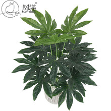 18�~����Gֲ�����辰ֲ����~�G�}�ٻ������~�ָа˽ǽ�P��؛��