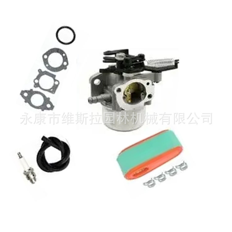 796608 Carburetor Carburetor Kit 591137 590948 111000 11P000 121000 796608 Carburetor Carburetor Kit 591137 590948 111000 11P000 121000