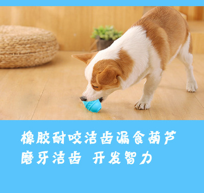 大型犬玩具金毛馬犬德牧中大型犬寵物橡膠玩具耐咬狗狗寵物用品
