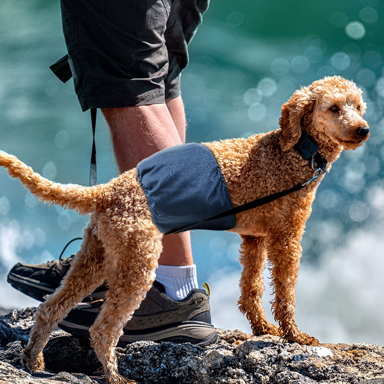 Брюки для домашних животных Amazon Взрывы в наличии Подгузники для собак Брюки для собак Тедди Детские моющиеся подгузники