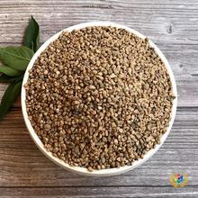 ✅粗河沙水洗河沙石子铺面水培天然河沙颗粒鱼缸造景水晶砂5斤批