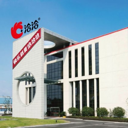 零食家族采购洽洽瓜子休闲零食每日坚果混合果仁果干健康开单专用