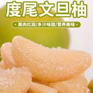 �����������ڶ�β�ĵ����Ϙ���t�������Ӯ����Fժ�ЋD���rˮ��