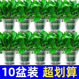 肉品加工设备;家具五金;餐桌