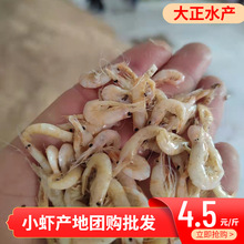 一斤装炸河虾原料 小白河虾蹦虾蹦蹦虾勾虾白虾小海虾麦穗钩子虾