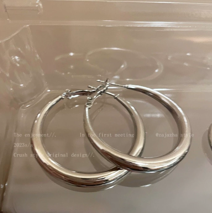 Silver 925 Earrings — Light Luxury Hoops & Drops, High-Quality Sterling, Multiple Sizes