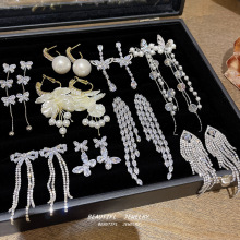 S925银针锆石流苏耳环轻奢高级感小众设计感耳坠新款大气夸张耳饰