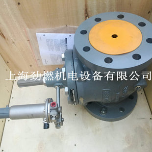 EZR 4"-300RF�Mϣ��FISHERȼ��p���y R057191098�����y �{���y�M