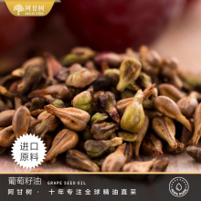 ���ʘ��䉺�������� Grape Seed ֲ���ͻ��A�ͬF؛���l