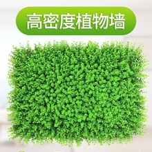 Gֲֲb͏dٲƤϲƺ̨T^