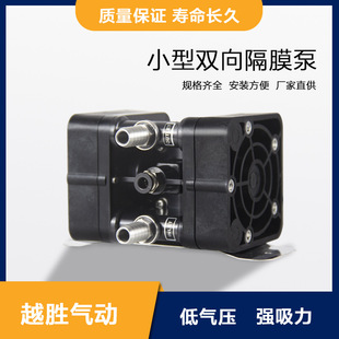 С�͚�Ӹ�Ĥ���͸��g�͏��|����Һ�wؓ���ã��ƾ���