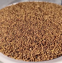 ɹ˽zșýzӾxݲݾƿɴSζ