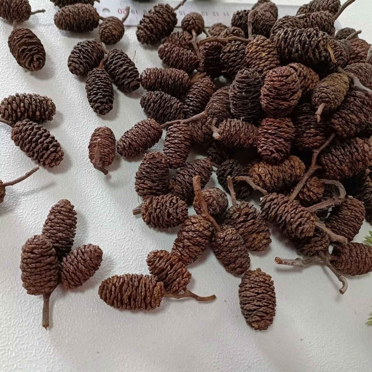 8EF7ED2BD5D184AC63B2F34DE37B3C