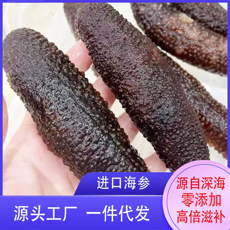 加拿大海参即食海参批发俄罗斯海参进口野生冰岛北极红参零添加