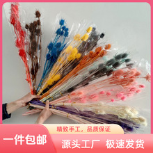 发财果干花永生花刺芹情人果拉毛果客厅商务插花花材云南工厂批发