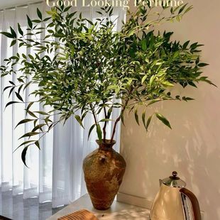 �r�в�����������ˮ�B�Gֲ�ΑB�ɱ��R��ľ���������҃��b�