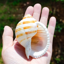 ����ؐ�����ݼľ�з����ؐ�~��[���Ĕz���߶���ֲ��С����