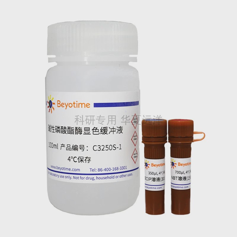 C3250S 多能干细胞碱性磷酸酶显色试剂盒 共100ml