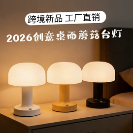 装饰台灯;创意台灯;室内壁灯