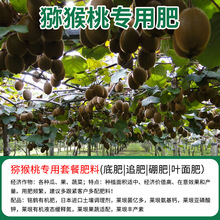 JҌЙCͺϷʵ׷׷ʾጷ΢ԪعϹ_ʩ~