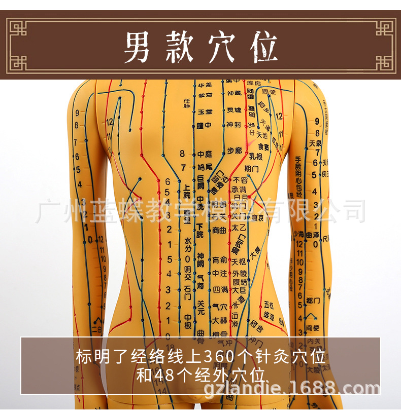 假模_16