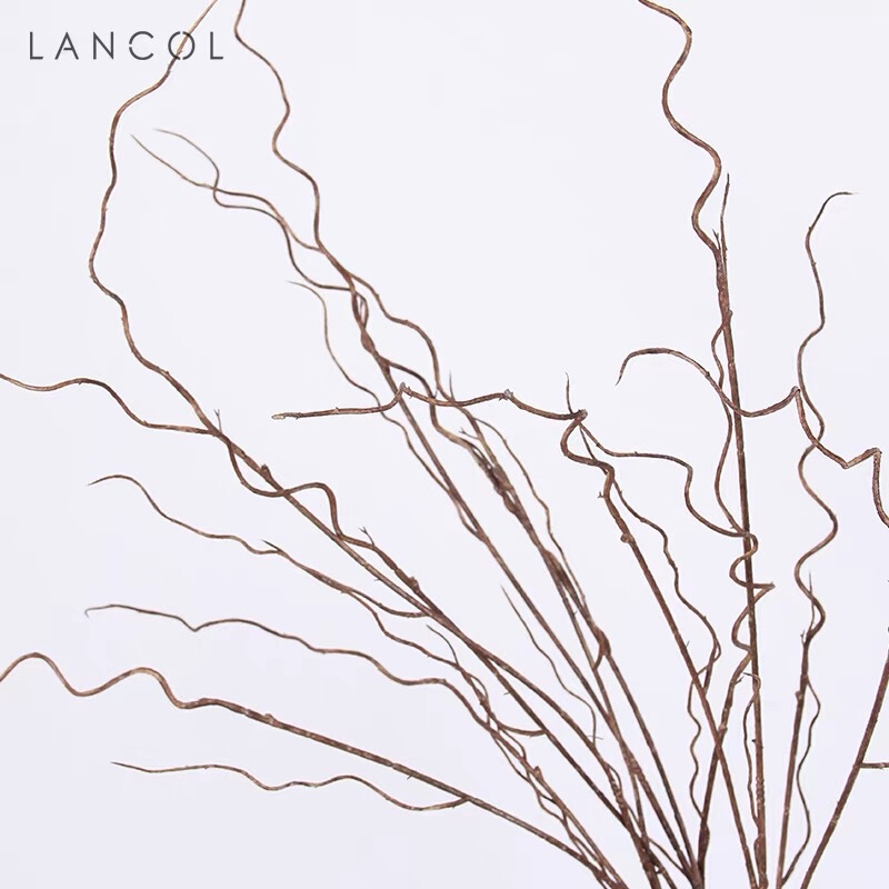 Simulation Yunlong Willow Willow Branch Simulation Leaves Floriculture Material Willow Bud Willow Branch Dead Branch Line Floriculture Home Decoration
