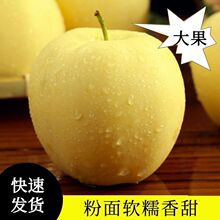 �SԪ�����O���|�������O���S���㽶�O�����r�O���������Fժ���l