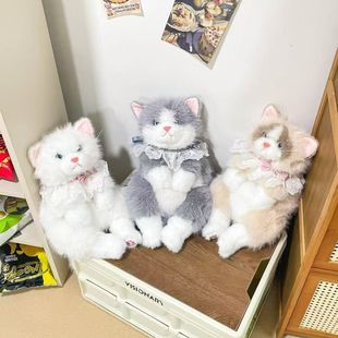 �������؈�乫�а�С؈��żë�q��߲������p���Ů�Y��һ�����l