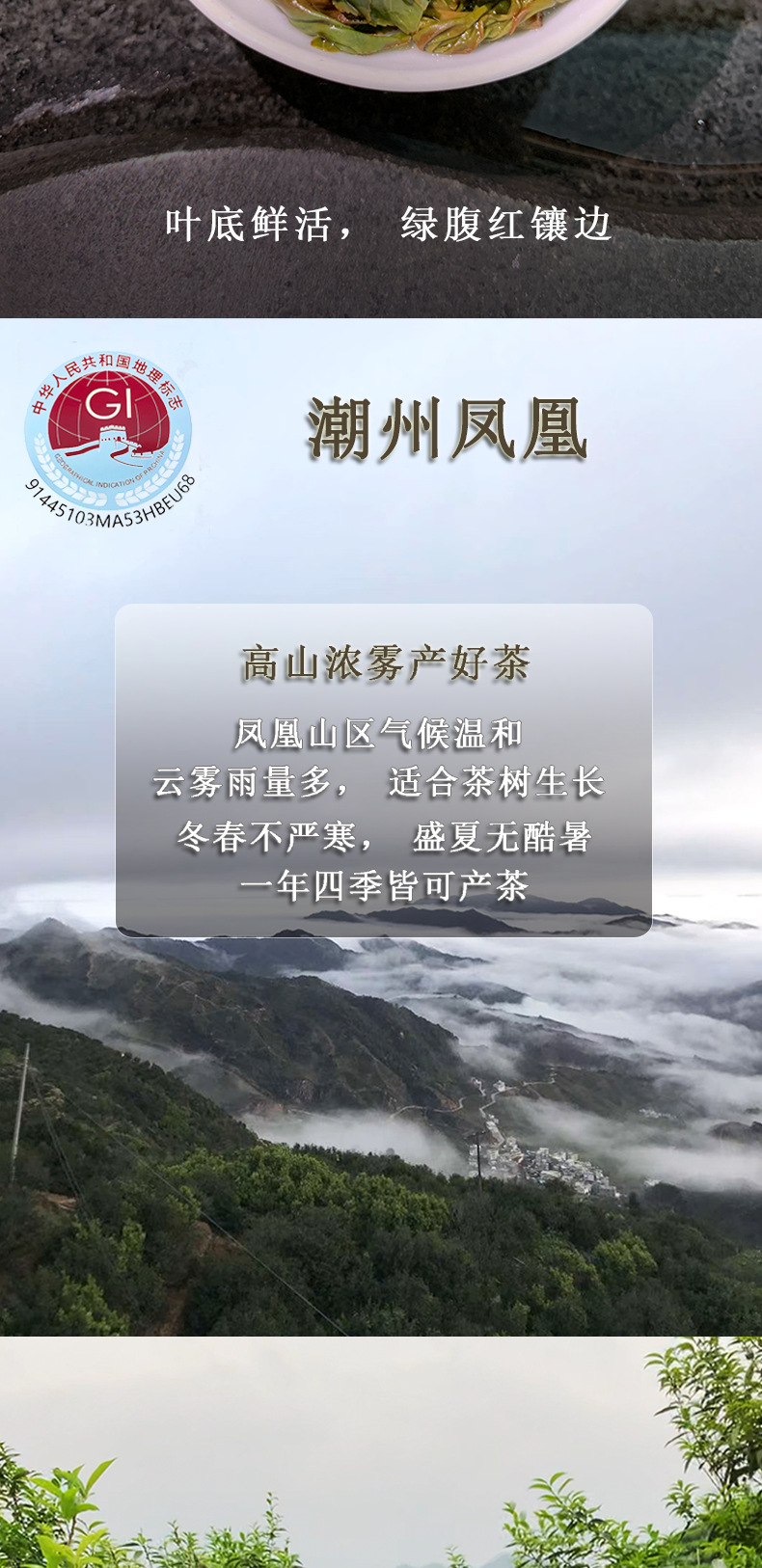 抽湿蜜兰香详情_08.png