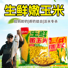 钓鱼用生鲜嫩玉米窝饵料钓饵野钓翘嘴鲫鲤草黑坑大物鱼饵玉米粒