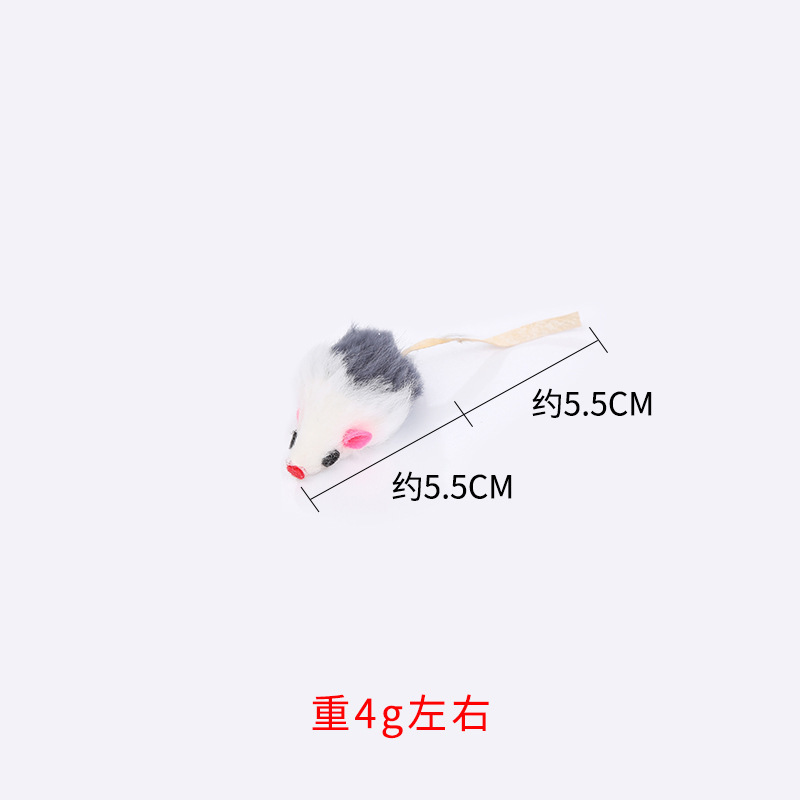 흰색 회색