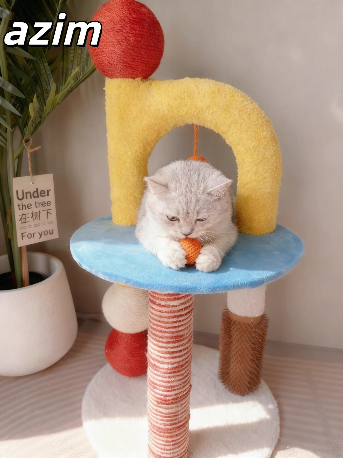 微信图片_20251223162746_144_15