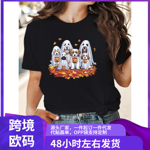 ����Ů�� comfit t ��