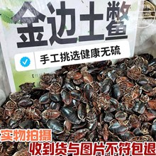 Ұɽ��߅���M�x �����e ��Ԫ �؞��� ��߅��Ԫ���M���Mĥ�۔��