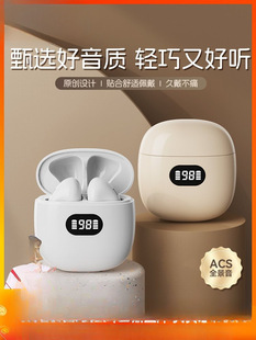 �o���{�����C2025�¿�����|���L�m���������Ů�ô���ʹ