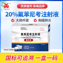 中龙神力兽用氟苯尼考注射液猪用肺炎牛羊咳喘针剂呼吸道正品兽药