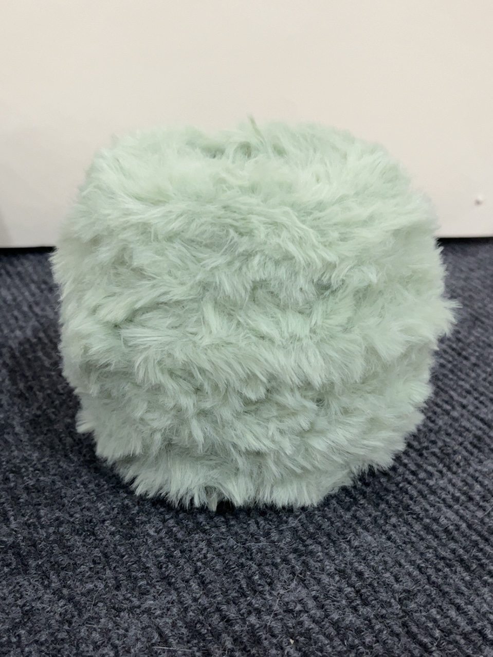 콩그린 공당 100g