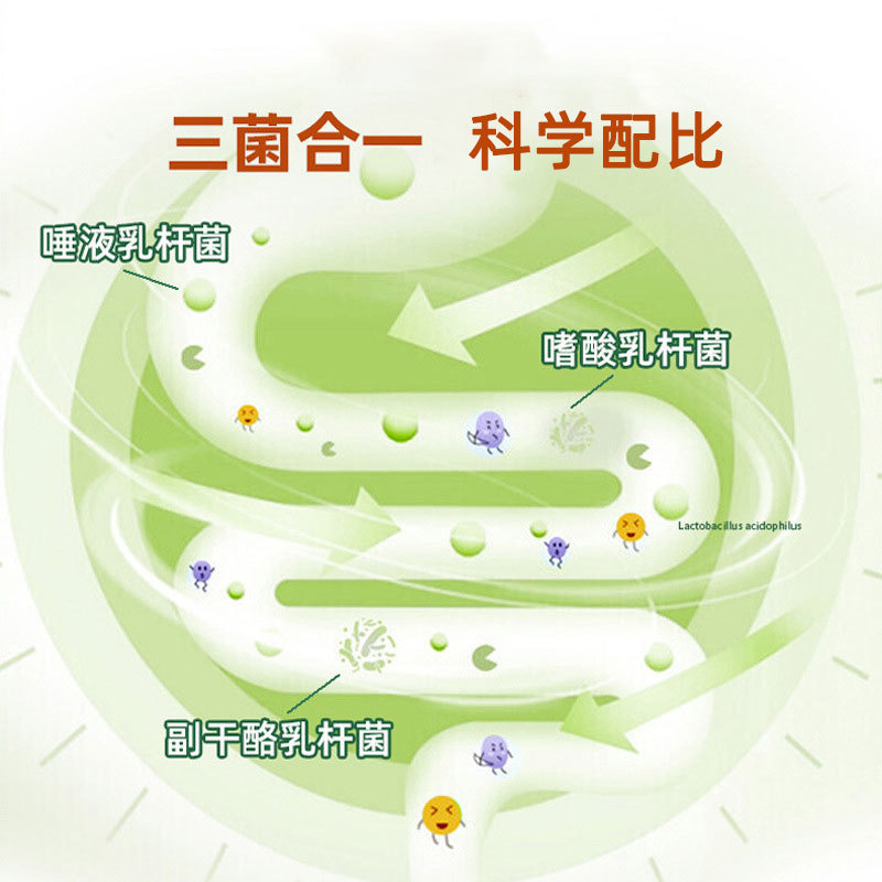 益生菌纤维酵素粉轻断食辟谷粉嗨吃孝素台湾果蔬酵素谷物固体饮料