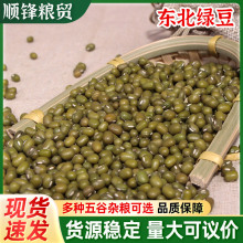 ���G���F؛���� �r���Ԯa����s�Z�������� ɢ�b�ּZ�;G��