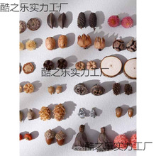 ֲhȻɹϹ϶ςԄС