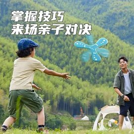 飞碟、飞盘;拼图、拼板;专业运动飞盘