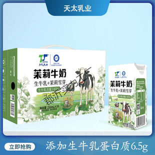 L Milk Kidsren's Breakfast Milk Snow Bud New Arrival 50m Adult 62 Jasmine Jasmine Price Milk Raw Box Tian Tai Zhao Guan