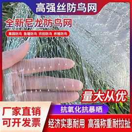 全新尼龙防鸟网果树果园葡萄草莓樱桃大棚防护网水稻青蛙养殖天网