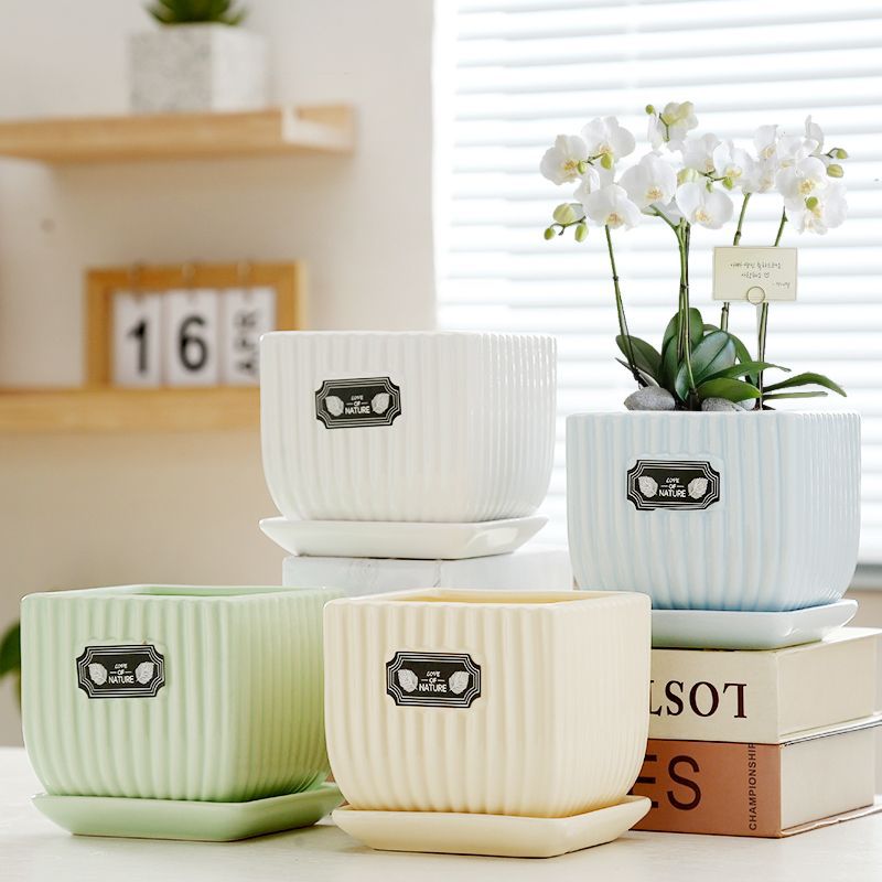 北歐ins風陶瓷花盆簡約現代莫蘭迪個性桌面蝴蝶蘭綠植盆栽多肉盆